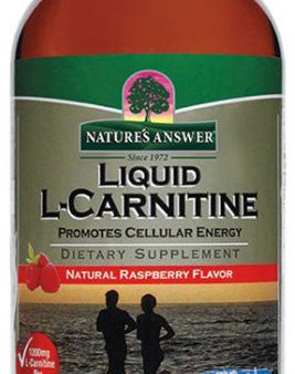 NATURE S ANSWER - Liquid L-Carnitine - 16 fl. oz. (480 ml) Discount