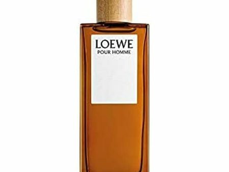 Men s Perfume Loewe EDT 100 ml Discount